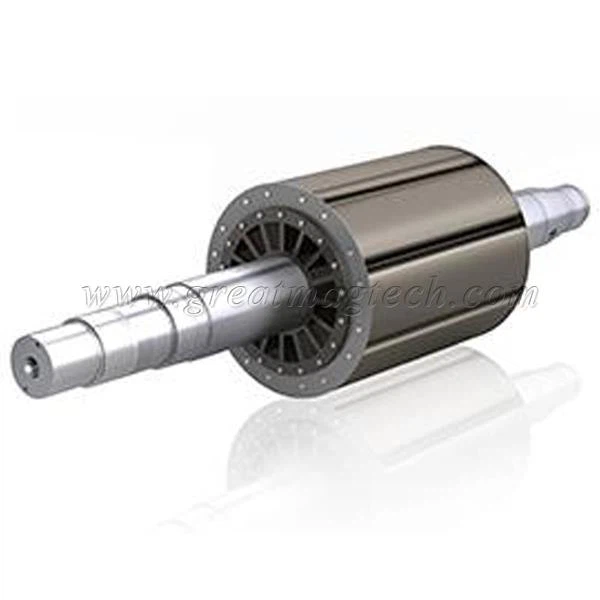 Magnetický rotor