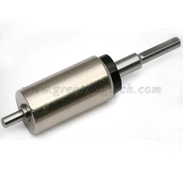 Magnetic Rotor